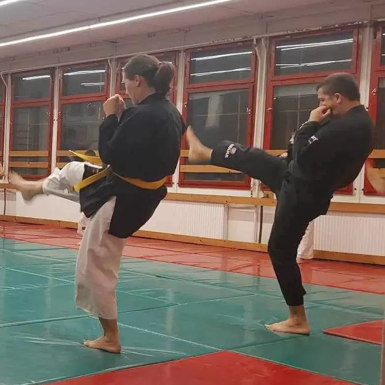 Küzdősport bemutató